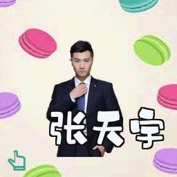 张天宇